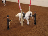 Dressage_5321r.jpg