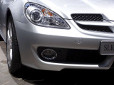 Mondial de lautomobile 2010_637.jpg