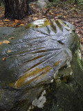 Polissoir du Bois des Coudres_03753r.jpg