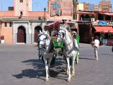 Marrakech Caleche traditionnelle_7726.jpg