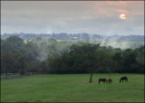 Grimes Mill Farm in the fog