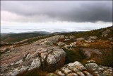 Maines Rocky Shore