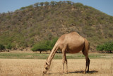 TP_0897_web.jpg