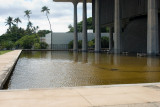 Pond - Hawaii State Capitol