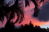 Sunrise Sunset - Hawaiian Style