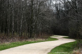 Path (41493)