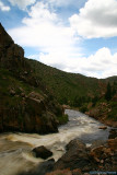 Poudre River (43230)