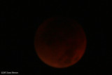 Red Moon (22240)