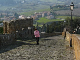 A long steady climb up via Ripa Medici .. A4886