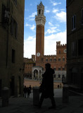 View of the Torre del Mangia, Palazzo Pubblico,  Piazza del Campo ...S9173