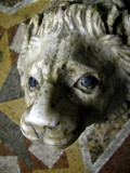 Marble lion, close-up .. S9295