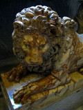 In the Sala degli Animali,  lion<br/> .. R9489