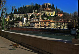 On the lungadige Donatelli .. 2544a