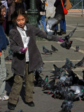 Most people avoid pigeons, but not in Venice .. 3059