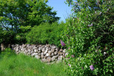 Getterön Halland 22.5-08