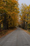 Narrow Dirt Road