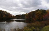 Dull and Dreary Autumn Day