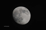 93% of Full Waxing Gibbous Moon