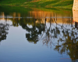 Reflection on a pond