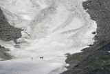 glacier