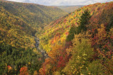 10/9/08 - Autumn Splendor