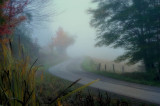 10/14/08 - Misty Dawn