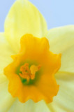 03/03/09 - Daffy Macro