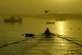 07/31/10 - Sunrise at Five Islands Harbor, Georgetown Island, Maine
