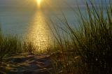 11/24/05 - Days End