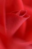 color - macro/closeup 2