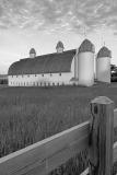 White Barn - B&W Print of the Year, NVPS 2005-6<br>Memorability: Medium (score: 0.591 )