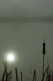 1/12/06 - Foggy Morn