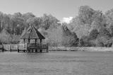monochrome - 7