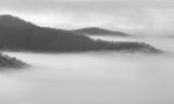 monochrome - 9