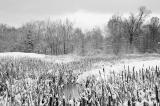 monochrome - 11