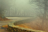 3/5/08 - Misty S, v2