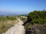 descent to el acebo