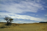 Sand Dunes3