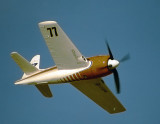 img006.jpg
