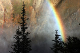 IMG_7305 YNP Lower Falls rainbow.jpg