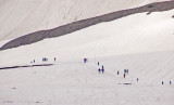 z P1080660 Hikers - Hidden Lake Overlook - Logan Pass - Glacier.jpg