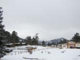 Winter day with snow - IMG_2228 
