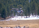 zP1030634 Helicopter takes off in Beaver Meadows.jpg