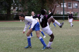 IMG_5554.JPG