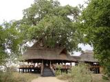 The main lodge at Tarangire