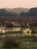 Great Meadows.jpg