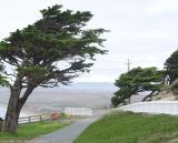 Looking up the Coast.jpg