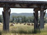 Old Railway Bridge, Yarra Glen