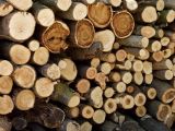 Stored For Winter
