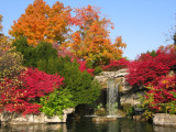 Fall at the zoo